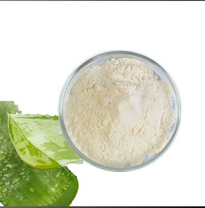 100% extrait d'aloe vera naturel pur 95% aloe-émodine qualité supérieure extrait de plante à base de plantes de qualité alimentaire sac de poudre emballage de tambour - Product Image 3