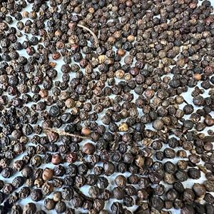 Vietnam Herbes et épices Poivre noir 500, 550, 570g/l faq & Asta Standard Grand goût Poivre noir pour l'exportation/ANNA DO - Product Image 3