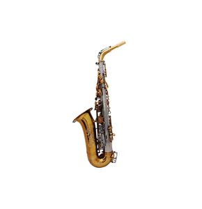 Saxofón Alto SAX ALTO PRO de Alto Rendimiento para Estudiantes de Música, Músicos Profesionales, Bandas de Jazz, Orquestas, Venta al Por Mayor - Product Image 1