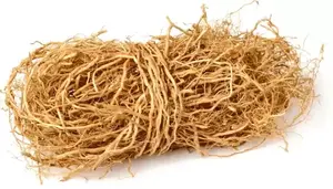 Aceite de raíz de Chrysopogon Zizanioides orgánico más vendido, suplemento de hierbas cultivadas en estado salvaje, suministro directo a granel, fabricante indio - Product Image 3