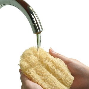 ใยบวบขัดผิวออร์แกนิค 100% พร้อมด้ามจับยาว ขัดผิวอย่างเป็นธรรมชาติ สำหรับใช้ในห้องน้ำ ย่อยสลายได้ ผลิตในเวียดนาม - Product Image 2