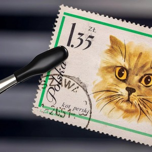 1/4 pezzi pinzette per ciglia in acciaio inossidabile Design dritto puntali in gomma rivestita con cono in silicone - Product Image 3