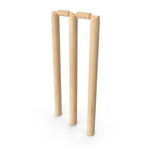 Net Practice Cricket Wickets Cricket Spring Wickets con madera hecha a medida estándar internacional de alta calidad hecha a medida - Product Image 5