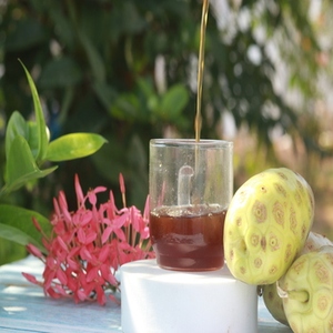 Jus de noni par l'ancienne guérison moderne pureté riche en antioxydants directement de la nature Noni Health Juice ayurvédique à base de plantes - Product Image 6