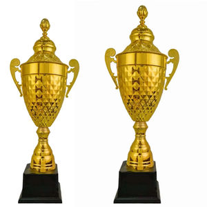 Trofeo de Metal Duradero para Exhibición a Largo Plazo en Salón Deportivo - Product Image 1