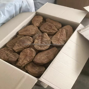 Hojas de Almendro Indio Silvestre (Terminilia Catappa) de Atlantic Beach, 32 Hojas, Grado Alimenticio, para Té - Product Image 4