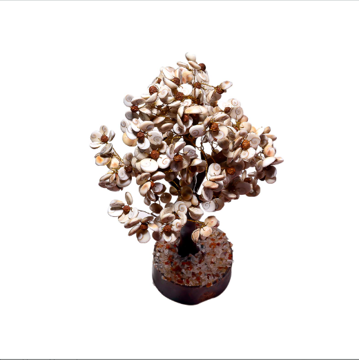 สีขาวสีน้ำตาล