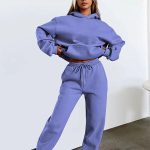 Offre Spéciale Pantalon de survêtement OEM imprimé de logo personnalisé Tissu tricoté à manches longues Grande taille Sweats à capuche brodés en relief pour femmes - Product Image 5