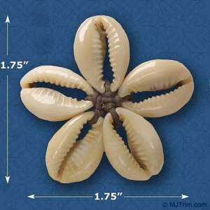 เปลือกหอยวัวธรรมชาติขัดเงาในราคาที่สมเหตุสมผลสำหรับการส่งออกจากเวียดนาม - Product Image 2