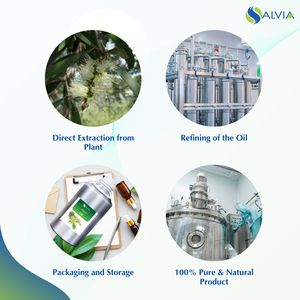 Venta al por mayor a granel 100% aceite esencial de Niaouli puro y natural embalaje personalizado precio bajo - Product Image 4