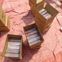 JOBAK Vente en gros de briques de sel de l'Himalaya naturelles sculptées de 5x10x20 cm, certifiées ISO, directement des mines du Pakistan, personnalisables, qualité supérieure