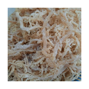 Premium Cottonii <b>Seaweed</b> Vietnam Origin Clean Sun Dried Uniform Color Ideal for High Quality Carrageenan Extraction Needs - Product Image 1