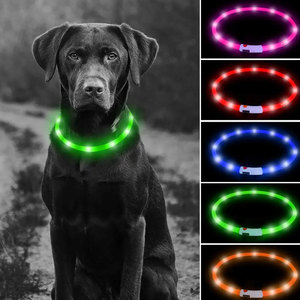 Collare per Animali Domestici con Luce LED Ricaricabile USB, Stile Semplice in Nylon e TPU con Stampa in Silicone, Taglia L, Guinzaglio per Cani e Gatti - Product Image 1