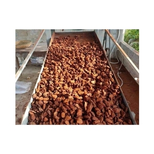 Écorce de pin disponible pour les projets de paillage à haut volume et matériau botanique pur pour l'ingénierie environnementale durable - Product Image 5