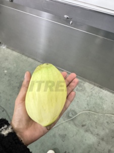 Pelador de <span class=keywords><strong>mango</strong></span> rentable para negocios con rápido retorno de la inversión - Product Image 6
