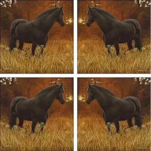 Ryan Ceramic Horse Accent & Decor Tile Set Carreaux polis pour le dosseret de salon ou le sol Intérieur Equine Art EWH-LMR001 - Product Image 1