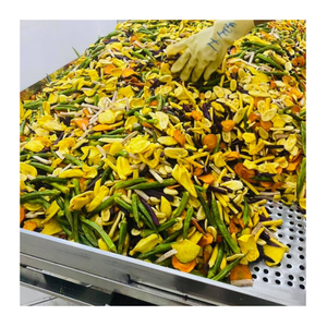 Vietnam Factory <b>Dried</b> <b>Mixed</b> Fruit and <b>Vegetable</b> Snack Chips Offer Natural Crunchy Taste for All Consumers - Product Image 3