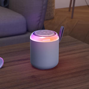 Subwoofer <b>Bluetooth</b> spa <b>speaker</b> 6.5W <b>portable</b> <b>speaker</b> with Auxiliary XLR Auxiliary XLR Metal for Party - Product Image 4