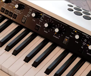 Piano numérique authentique SV2-88S, 88 touches, portable, coque en bois, multifonction, écologique, avec étui - Product Image 2