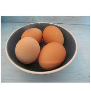 Mesa de pollo congelado fresco y huevos para incubar Huevos de avestruz naturales para uso agrícola o alimentos Gran valor - Product Image 3