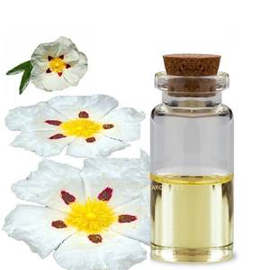 Huile essentielle de Labdanum pour la fabrication de bougies Fournisseurs d'huiles essentielles très demandés - Product Image 2