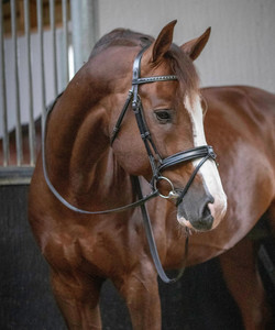 Snaffle Bridleทุกวันแบบพกพาหรูหราพรีเมี่ยมคลาสสิกดูแฟชั่นสมาร์ทข้อเหวี่ยงจมูกเชือกแขวนคอComboกับReinsกีฬา - Product Image 1