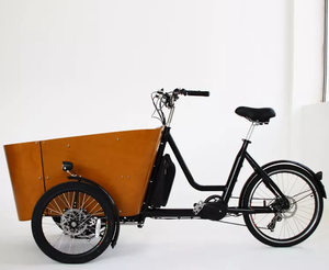 Vélo cargo électrique familial à 3 roues avec <span class=keywords><strong>porte</strong></span>-bagages arrière, moteur brushless 250W, assistance au pédalage, double moteur, cadre en acier 7 vitesses - Product Image 1