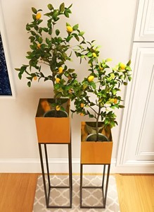 Macetas de Metal de la mejor calidad con soporte para la decoración del hogar y el jardín Macetas con revestimiento en polvo a bajo precio - Product Image 5