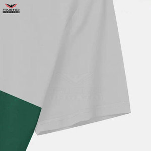 T-shirts pour hommes 100% coton de haute qualité, respirants, écologiques, manches courtes, couleurs personnalisées, logo, dernier design pour adultes - Product Image 5