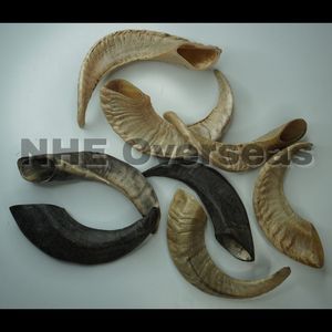 Ram Horn Dog Chews Natural Premium Safe Healthy Durable Strong Huesos de larga duración para cachorros y perros adultos - Product Image 4