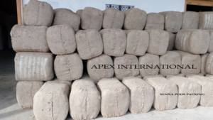 Vainas secas Senna exportador a granel de vainas secas Senna, vainas Senna T-cut, polvo Senna Pods - Product Image 5