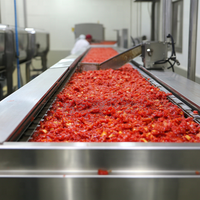 Automatische tomatenpuree productielijn, fruitpuree verwerkingsmachine, fruit- en chilisaus productie-apparatuur