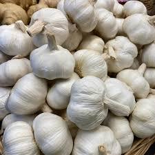 ขายกระเทียมออร์แกนิก | หลอดกระเทียมระดับพรีเมียมสดปราศจากจีเอ็มโอ | ขายส่งและสั่งซื้อจำนวนมาก - Product Image 4