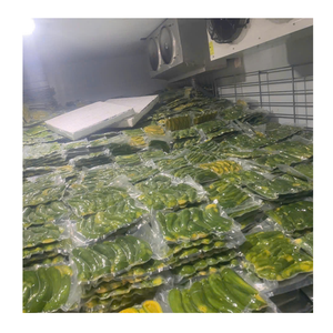 Trozos de aguacate congelado IQF, ideal para batidos, aguacate congelado, ampliamente utilizado en cadenas de comida rápida - Product Image 5