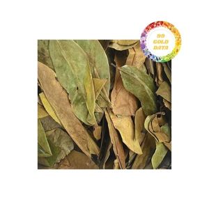 Fournisseur fiable de feuilles de graviola séchées pour l'exportation, offrant une qualité supérieure et des prix compétitifs pour les commandes en gros - Product Image 4