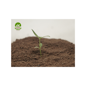 Offre Spéciale : Engrais en Poudre de Guano Organique Polyvalent pour Tous Types de Cultures – Certifié Biologique et Naturel - Product Image 1