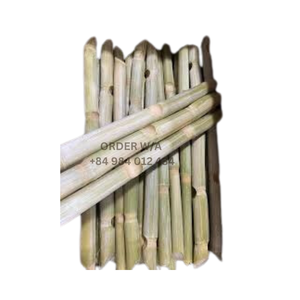 Fruta congelada IQF de caña de azúcar dulce natural de bajo precio con MOQ bajo lista para enviar - Product Image 6