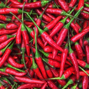 Chiles Rojos Frescos de Vietnam al Por Mayor al Mejor Precio, Fruta de Primera Calidad en Venta - Product Image 1