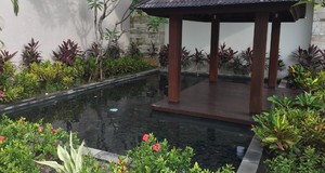 Premium Scoria Natural Lava <b>Rock</b> Boulder 10mm-Black Basalt Durable Eco-Friendly Safe Swimming Pool Fishpond Aquaculture Tropical - Product Image 6