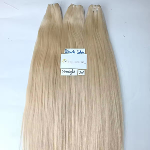2024 bon prix blond couleur Super Double dessiné droite vietnamien Remy Extensions de cheveux Machine Double trame cheveux humains cheveux - Product Image 1