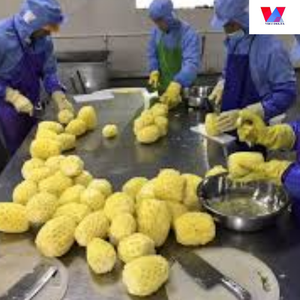 Producto superior, de alta calidad frutas enlatadas, piña enlatada de Vietnam, precio barato, buena calidad, delicioso, sabroso, el más popular - Product Image 6