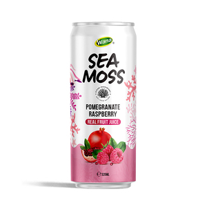 Musgo Marino Enlatado con Jugo de Frutas Tropicales y Minerales Saludables, Muestra Gratuita para Marca Privada OEM ODM - Product Image 6