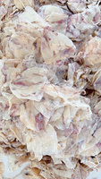 Rasa alami cumi-cumi kering Vietnam kualitas tinggi, kaya Protein, umur simpan panjang, tersedia sekarang terbuat dari Vietnam 2025
