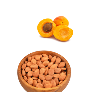 <b>Apricot</b> <b>Kernel</b> | Herbal-Grade Product for Export Oil Buyers - Product Image 1