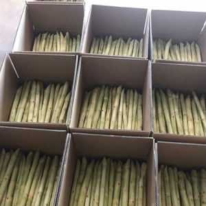 Concentrado de jugo de caña de azúcar tropical congelado de calidad superior hecho en Vietnam Precio barato Bebida rica en nutrientes - Product Image 6