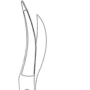 Tijeras de Episiotomía Waldmann de Estilo Alemán de Calidad Premium y Tijeras Nasales Finas para Disección de Tejidos Delicados - Product Image 5