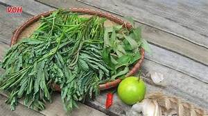 EAU NATURELLE CONGELÉE SOURCE À BASE DE PLANTES MIMOSA POUR LA DÉTOX DES FIBRES ET UNE VIE SAINE - Product Image 6