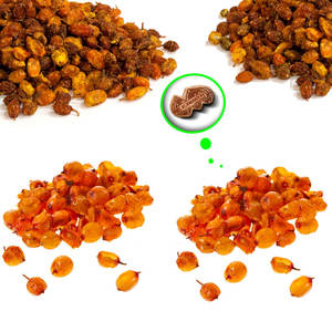 Espino amarillo seco | Desde bosques salvajes hasta mercados globales - Product Image 2