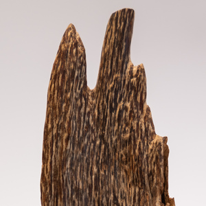 Việt Nam Ant agarwood chip, nhựa cao, cho cao cấp hương & bakhoor, Nha Trang agarwood chip - Product Image 4