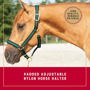 Cabestro de caballo de nailon, relleno suave, gancho de presión ajustable en la garganta de la barbilla, herrajes chapados en latón de alta resistencia, líder de entrenamiento Halter - Product Image 2